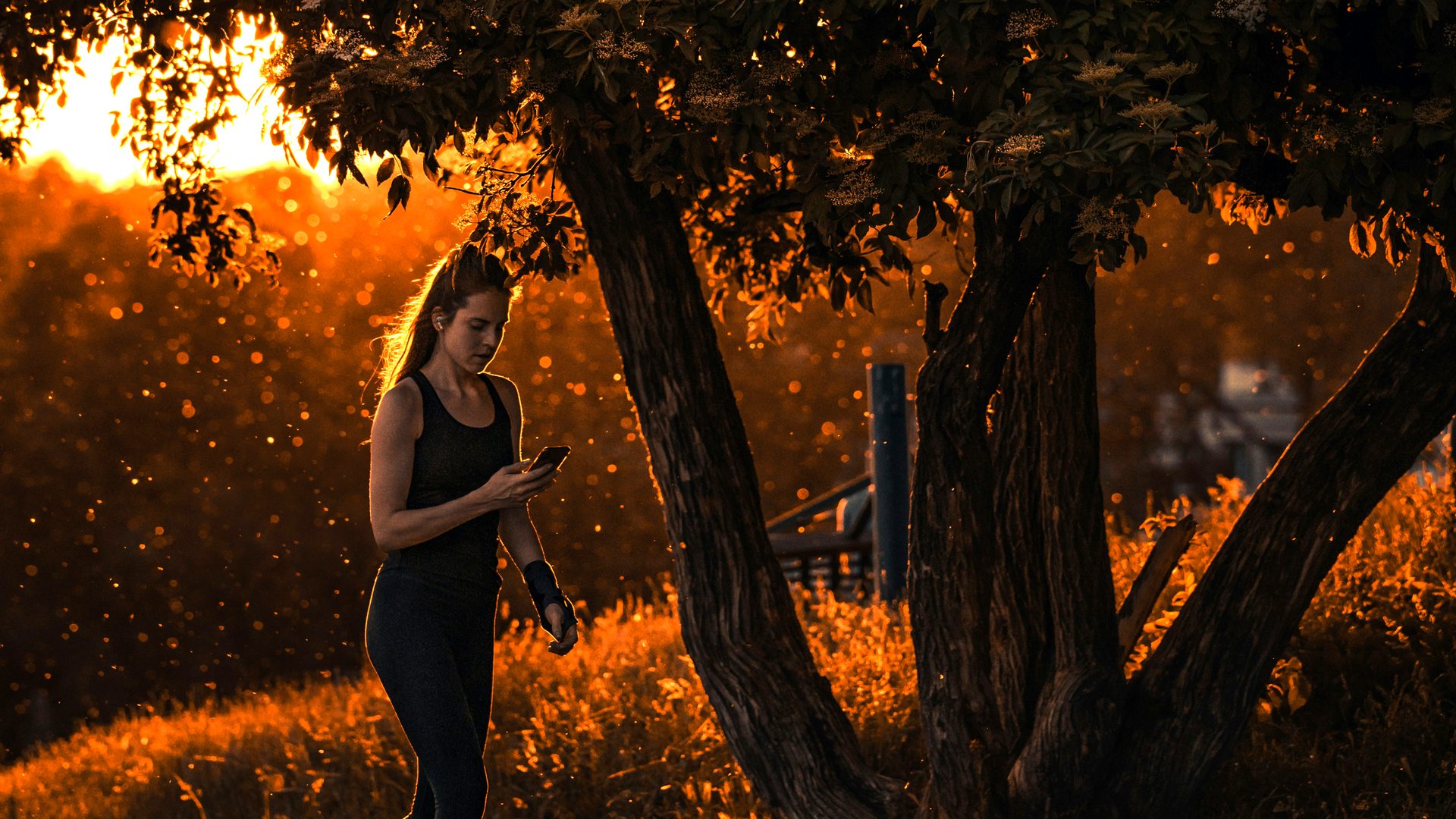 A walker at golden hour on a path through trees — the Japanese Walking Method