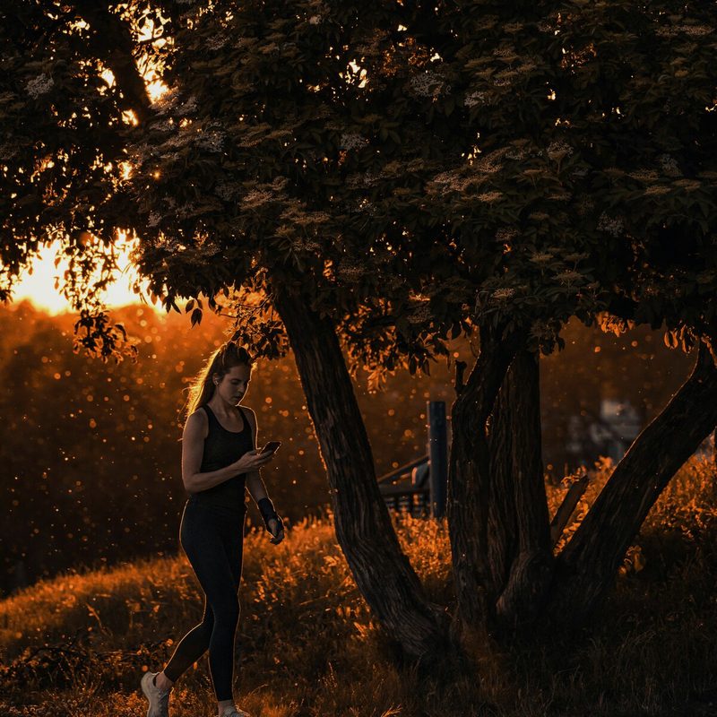 A walker at golden hour through trees — The 30-Day Reset, the Japanese Walking Method book