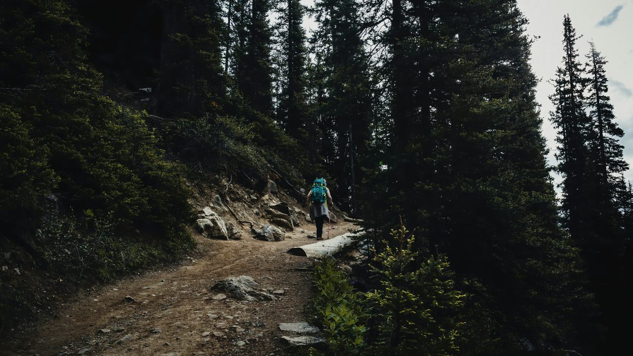An older adult walking briskly outdoors on a sunlit trail.