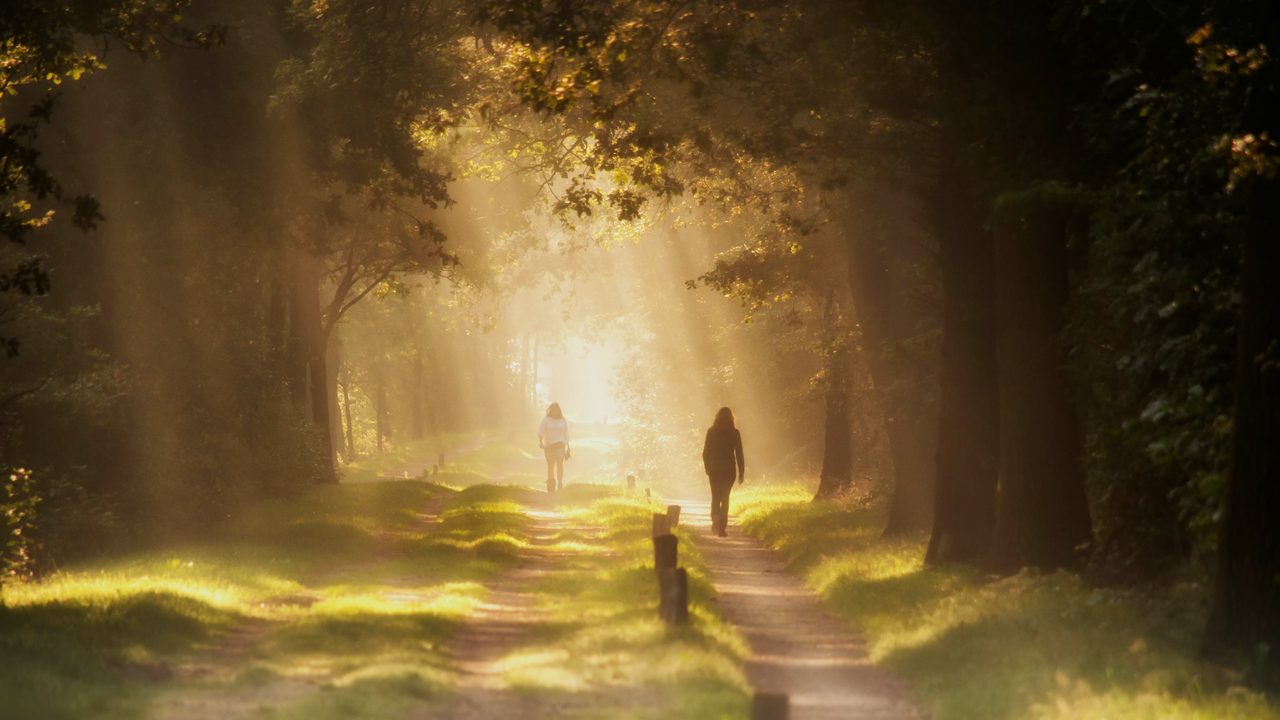 People walking briskly on a sunlit path in daylight.